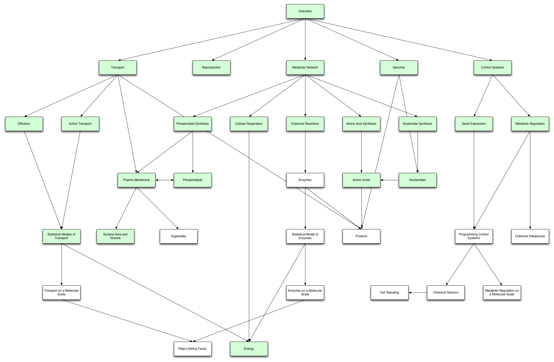 Cell Biology 101 Concept Map